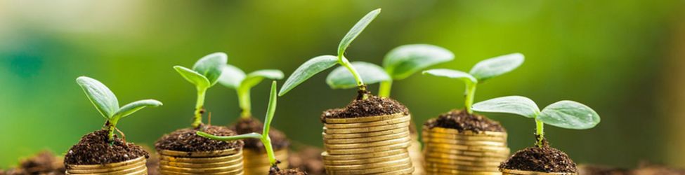 Best Saving Account in Singapore