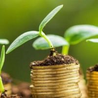 Best Savings Accounts in Singapore